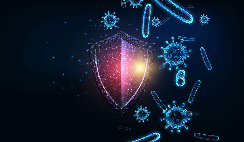 Кибериммунитет: вырастите его в коллективе.